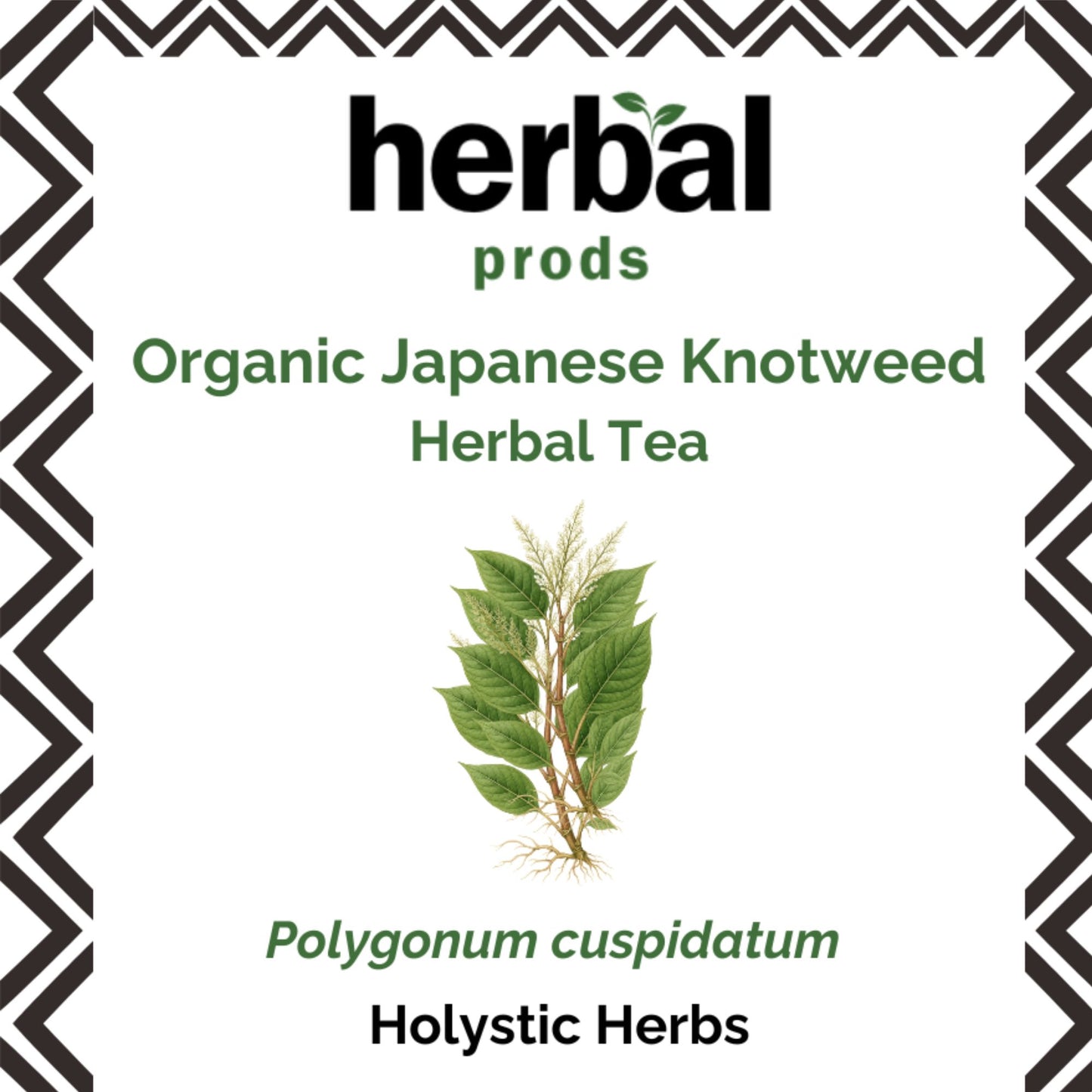 Organic Japanese Knotweed Herbal Tea - Resveratrol - Rich Root - Herbal Prods