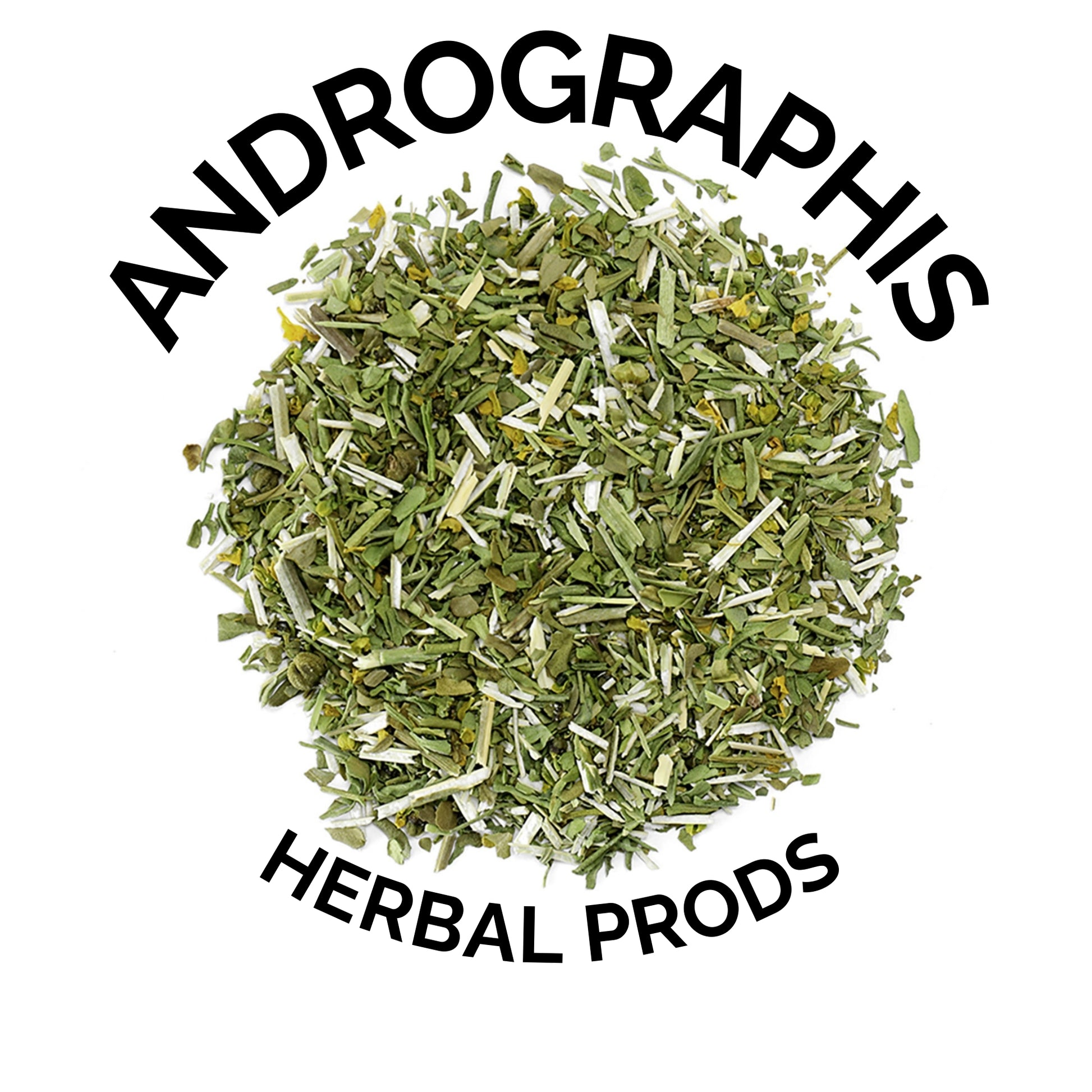 Andrographis (Andrographis paniculata) – Premium Dried Herb | Herbal Prods - Herbal Prods