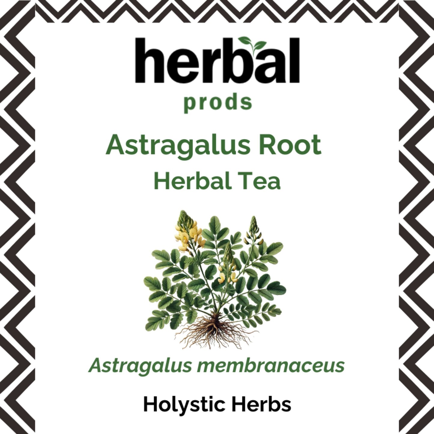 Astragalus Root Herbal Tea (Astragalus membranaceus) | Herbal Prods - Herbal Prods