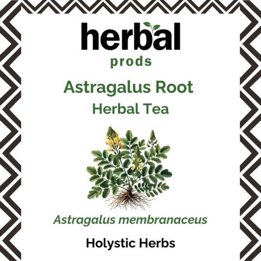 Astragalus Root Herbal Tea (Astragalus membranaceus) | Herbal Prods - Herbal Prods