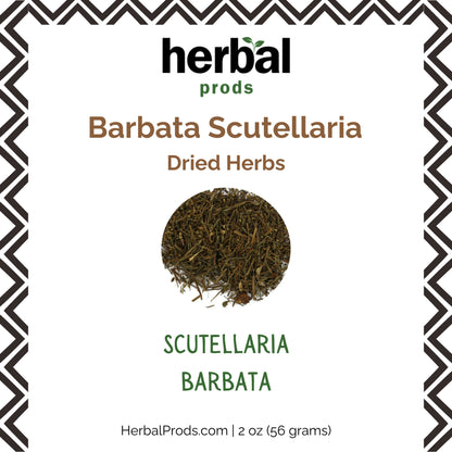 Barbata Scutellaria Dried Herb (Scutellaria barbata) | Herbal Prods - Herbal Prods